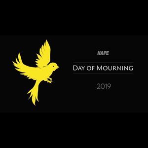 Meet your Posher, Deirdre